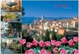 grasse