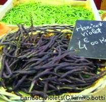 haricotsviolets(C)kimiko.botti