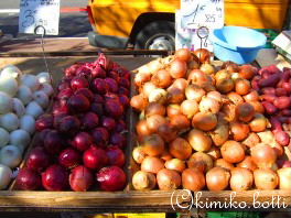 oignons(C)kimiko.botti