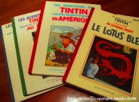 livres_tintin(C)kimiko.botti