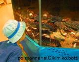 poissonnerie(C)kimiko.botti