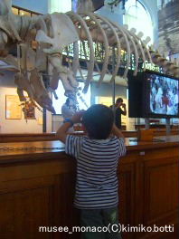 musee_monaco'C)kimiko.botti