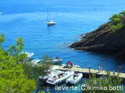 ileverte(C)kimiko.botti