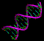 adn