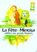 fetemimosa