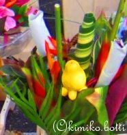 fleursexotiques(C)kimiko.botti