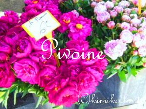pivoine(C)kimiko.botti