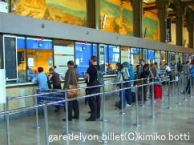 garedelyon(C)kimiko.botti