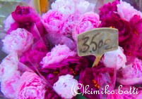 pivoine(C)kimiko.botti