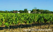 vigne(C)kimiko.botti