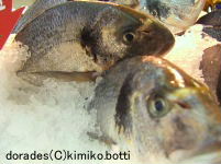 poissons(C)kimiko.botti