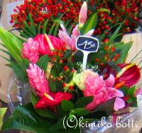 fleursexotiques(C)kimiko.botti