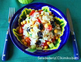 saladeriz(C)kimiko.botti