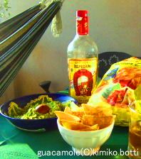 guacamole(C)kimiko.botti