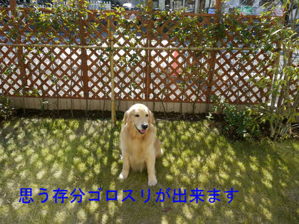 BlogPaint