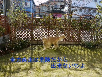 BlogPaint