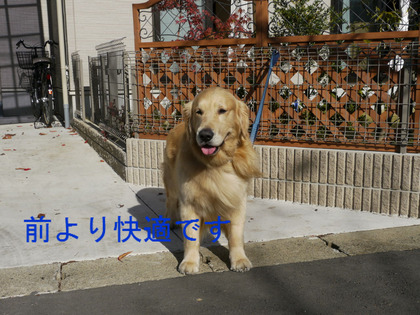 BlogPaint