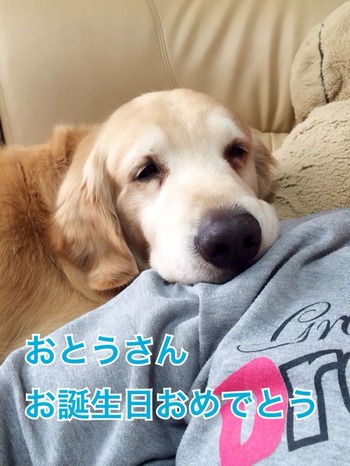 2015-05-13-16-25-21