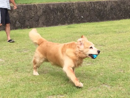 2015-08-19-08-43-38