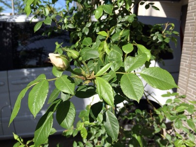 2015-05-11-07-58-03