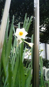 51e55409.jpg