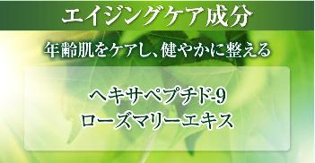 フェイス2