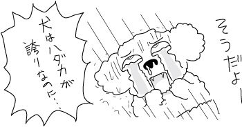 Going-to-vet-copy23