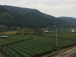 IMG_7164