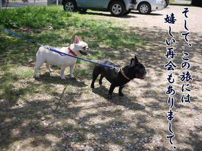 ブルラボBLOG 8