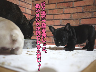 �ե����֥�ɥå����Ҹ���4