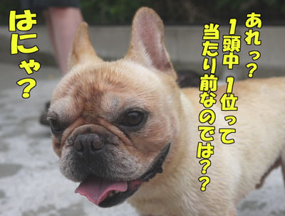 �ե����֥�ɥå�����