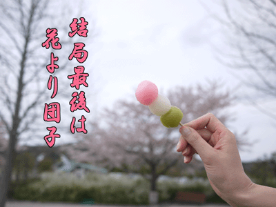 フレンチブルドッグ 6