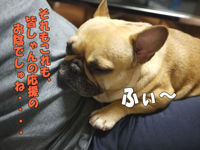 ��������������硡��