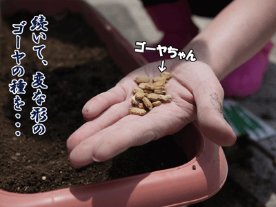 ブルラボBLOG 5