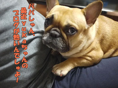 ��������������硡��