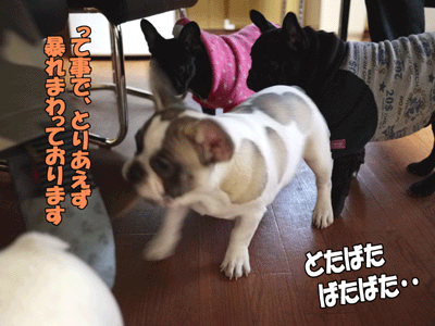 �ե����֥�ɥå����Ҹ�����