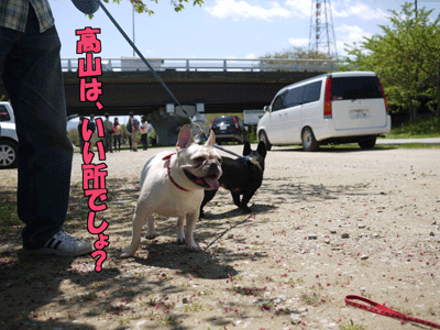 ブルラボBLOG 9