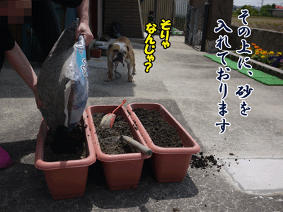 ブルラボBLOG 3