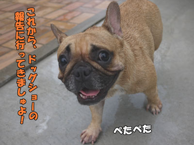 �ե����֥�ɥå�����