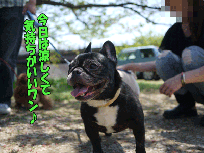 ブルラボBLOG 10
