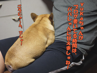 ��������������硡��