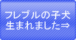 �Ҹ����ޤ�ޤ���