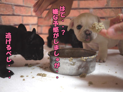 �ե����֥�ɥå����Ҹ���2