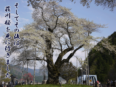 ブルラボBLOG 12