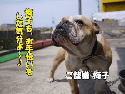 ブルラボBLOG 8