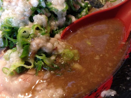 N-Ga15soup