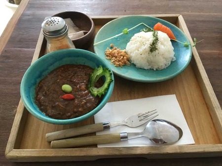 O-Tia15curry
