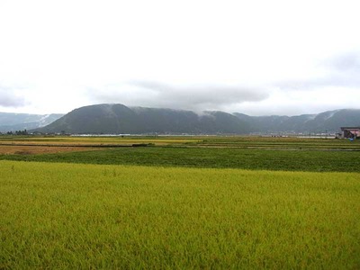 Kumamoto-Road1