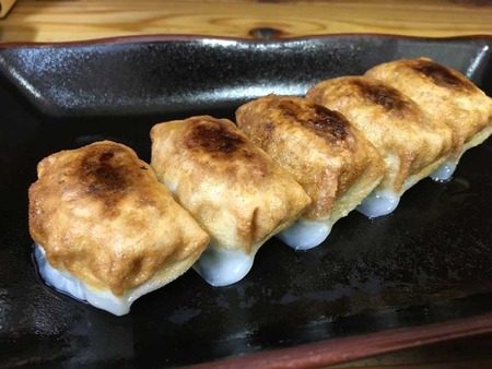 S-Chikin16gyoza