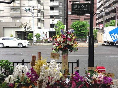 Osaka-Se13flower